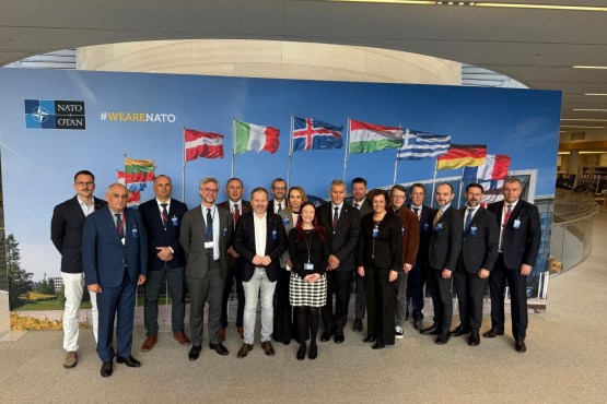 Делегација Парламентарне скупштине БиХ учествовала у НАТО Програму оријентације у Бриселу